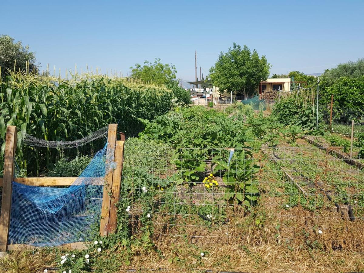 Eco Glamping With Pool Between Nafplio And Άργος Εξωτερικό φωτογραφία