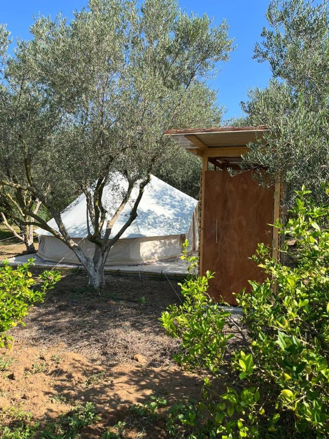 Eco Glamping With Pool Between Nafplio And Άργος Εξωτερικό φωτογραφία