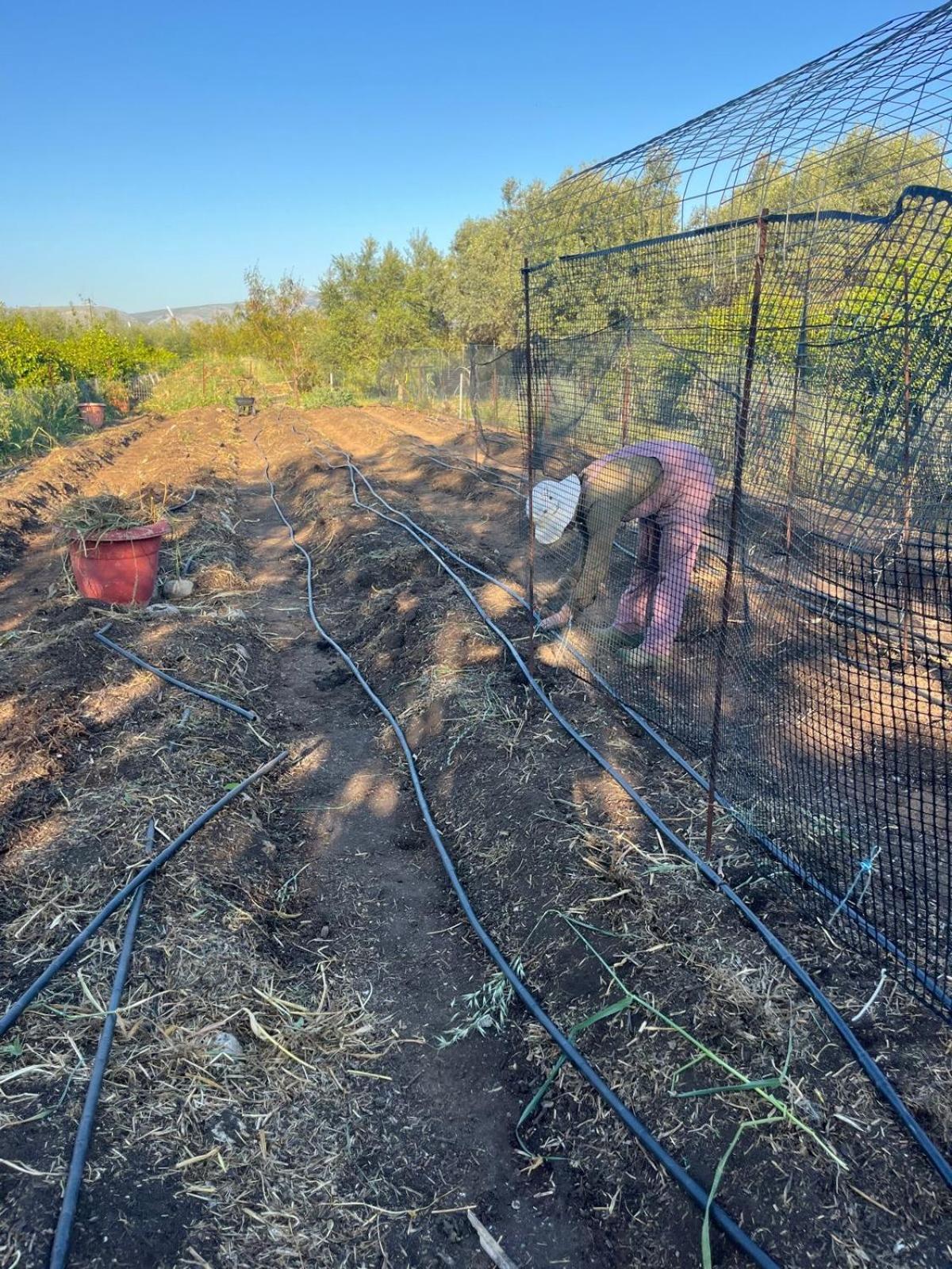 Eco Glamping With Pool Between Nafplio And Άργος Εξωτερικό φωτογραφία