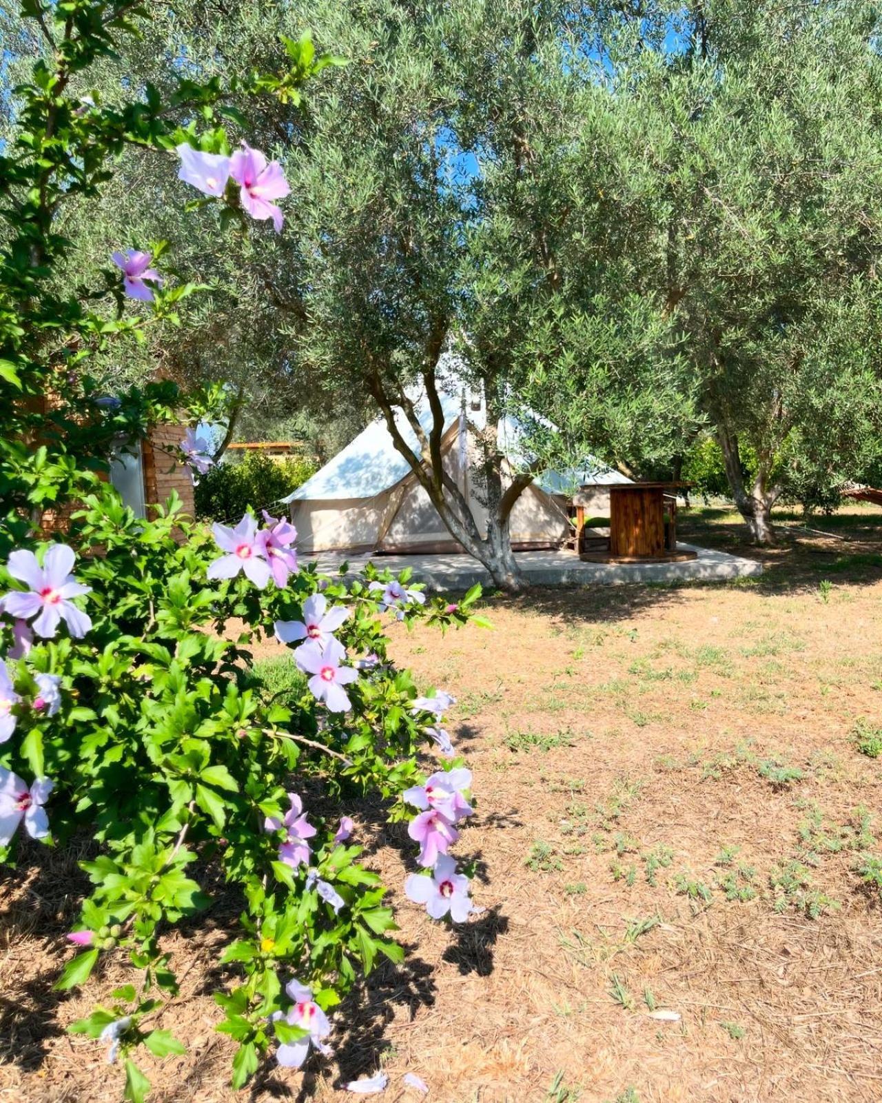 Eco Glamping With Pool Between Nafplio And Άργος Εξωτερικό φωτογραφία