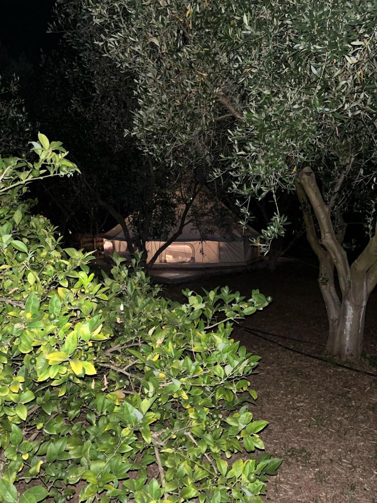 Eco Glamping With Pool Between Nafplio And Άργος Εξωτερικό φωτογραφία